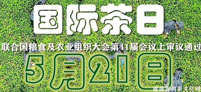 一山一味||同一款茶，兩次品茗？
